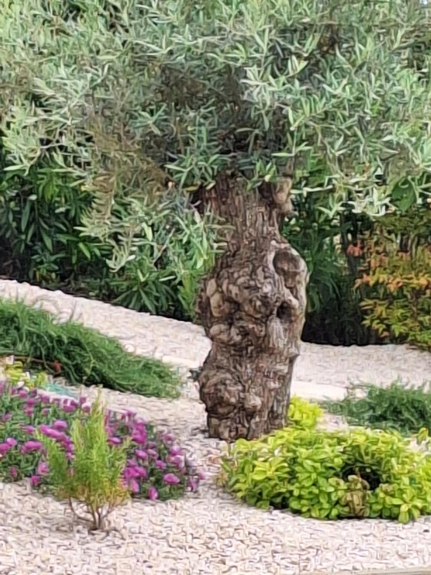 Holiday home Casa Dell 'amore Porec