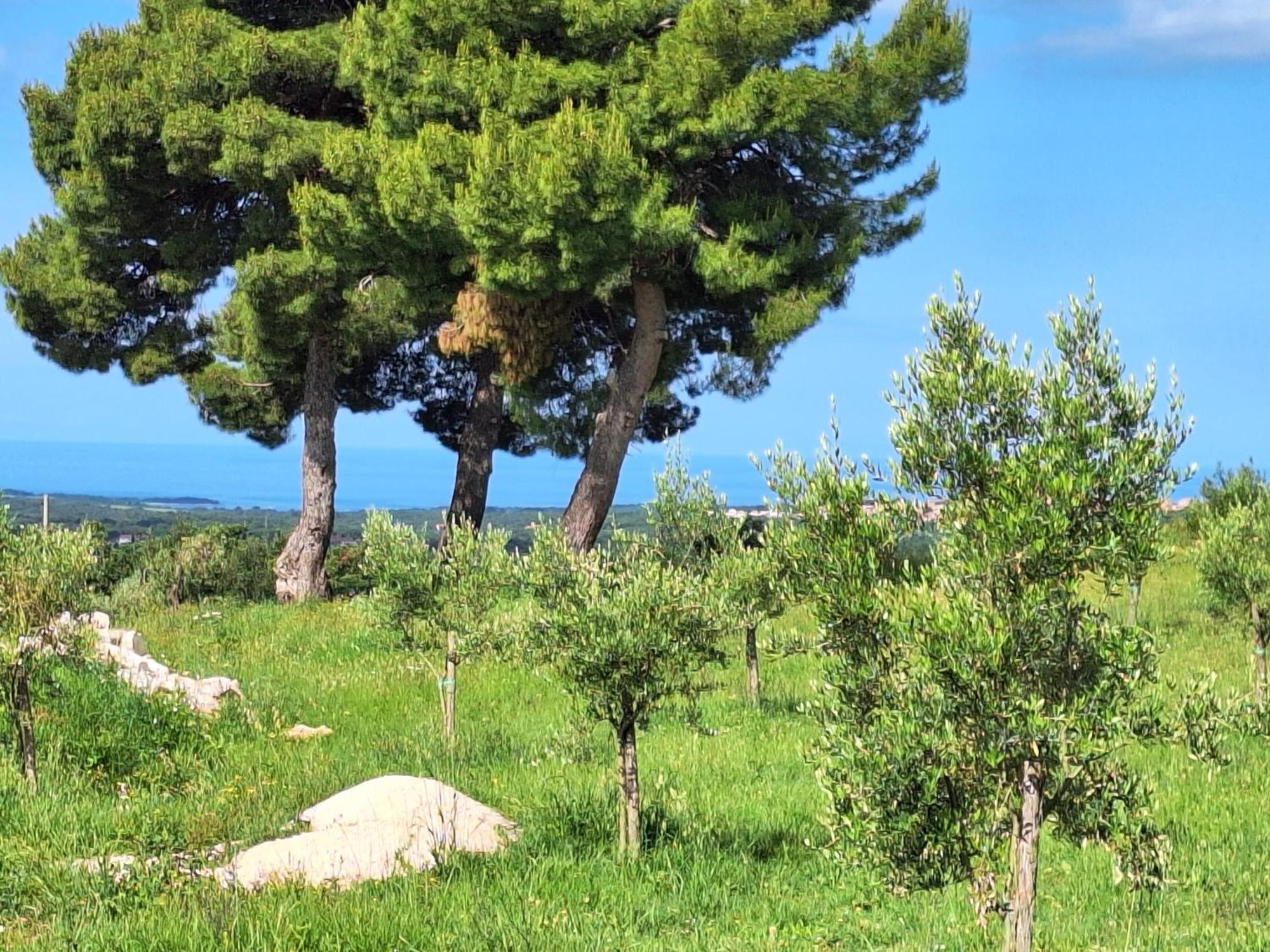 Holiday home Casa Dell 'amore *
